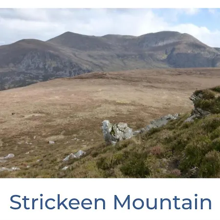 Alloggio in famiglia Green Haven V93p230