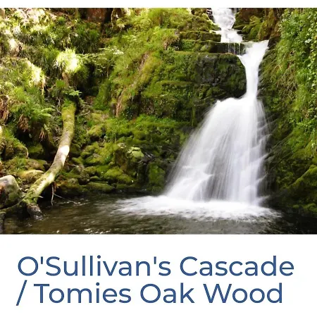 Kwatera prywatna Green Haven V93p230 Killarney