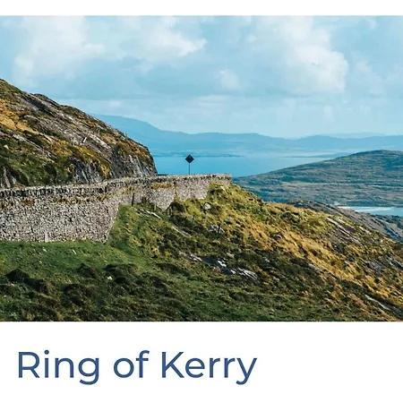 Green Haven V93p230 Killarney