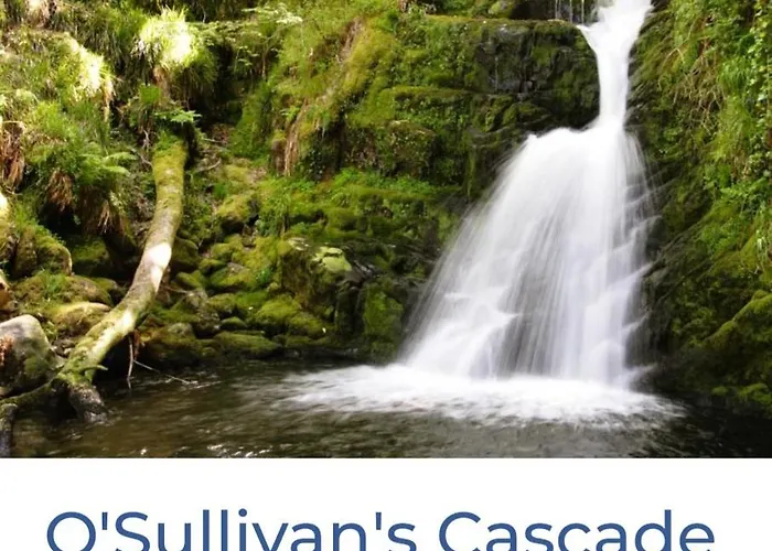 Ubytování v soukromí Green Haven V93p230 Killarney