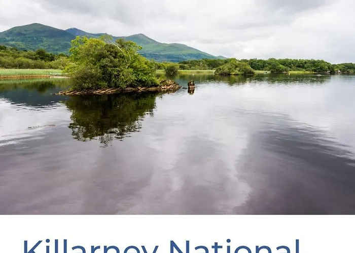 Green Haven V93p230 Killarney